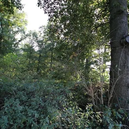 In Rees-haldern Haldern